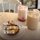 [구산역] 일월삼일 | 휘낭시에 맛집, 테라스 유럽풍 카페