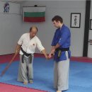An Essay written by Philip Baytchev as a 4 dan candidate 이미지