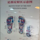 휴스킨 이미지