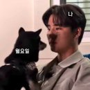 종로-신영-종로-영-116 | 안녕 새들아 오늘 하루는 날씨 정말 좋지 않니