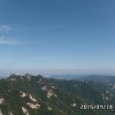 천장골