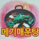 소양강민물집 이미지