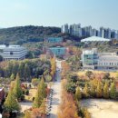 수원대학교 NSP통신