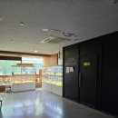 펫퍼스트 24시 강아지분양 고양이분양 이미지