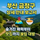 종합버스터미널관광안내소 | 📍 부산 금정구 상세 안내 보고서 🗺️