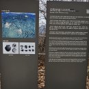 무궁화아파트사거리 이미지