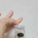 브엘라해로이 이미지