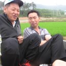 용아농장 이미지