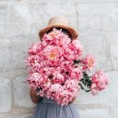 참좋은세상 이미지