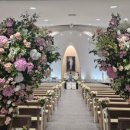 논현2동-6 이미지