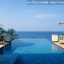 트리사라 이미지