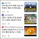 <b>msn</b> 코리아 홈페이지 바로가기
