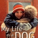 LIFE&DOG 이미지