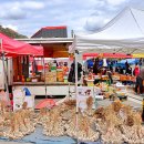 도계읍행정복지센터 이미지