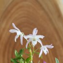 무명농장 이미지