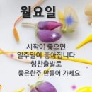 멋진 4시에 남자 검은달빛님 이미지