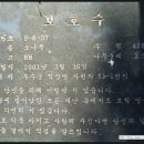 서창 소나무 이미지