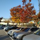 레이전기차 레이EV 중고차 매입후기 /안산 시흥 중고차 매입