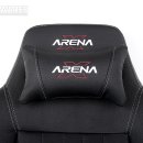 ARENA PC 이미지