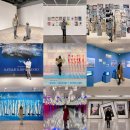 (주)퓨트로 | 2월 가볼만한곳 전시회 리스트 (+ 전시회추천 2023)