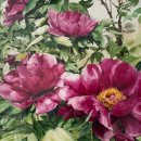 문촌2리 석화지 이미지