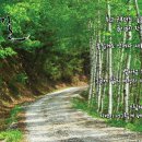 원주굽이길 1코스 배부른산길 이미지