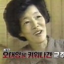 오대양 이미지