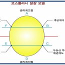 달걀모델 투자전략 이미지