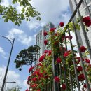 인천마리아의집 | 평촌 마리아 시험관 신선 1차 성공 후기