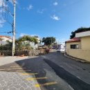 서귀포오일시장-2 이미지