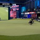 돔 스크린 골프 이미지