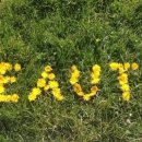 동감행정사 사무소 이미지