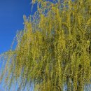 면목오락실 이미지