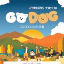 모아 dog 이미지