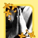 성심장례예식장 이미지