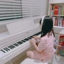 해머 플러스 | 해머건반 전자피아노 리뷰: 뮤디스 MF300L 플러스 구매 후기