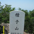 종자산 정상 이미지
