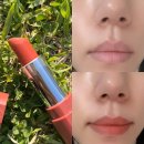 톡하우스 | 쉬폰 매트 제형의 매력, 에뛰드 하우스 디어 마이 블루밍 립스-톡 말린 오렌지 비앙코 사용 후기