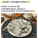 서리태 콩찰떡 이미지