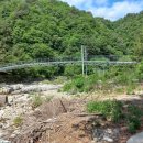 법수치계곡 펜션 꿈꾸는 숲 이미지