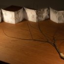 페리지홀 이미지