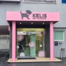 강남애견 이미지