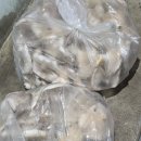 황지주유소 이미지