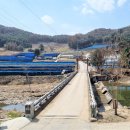 송실목장 이미지