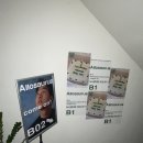 알로하이 이미지