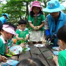 선우유치원 이미지