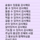 안덕면 사계포구 | 제주서귀포 안덕면 형제해안로 의 사계바다다!!!