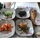 더미송 네이버블로그