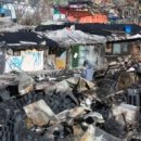 구룡전기 이미지