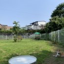 댕댕그라운드 이미지